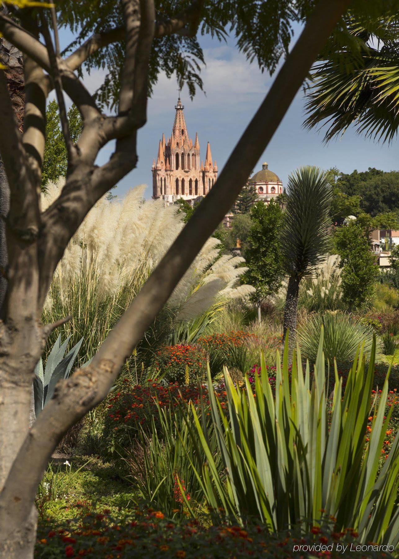 Rosewood San Miguel Hotel San Miguel de Allende Exterior foto